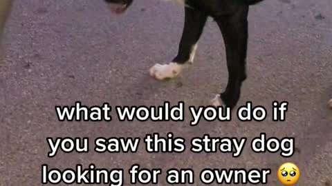 menaced by some invisible danger