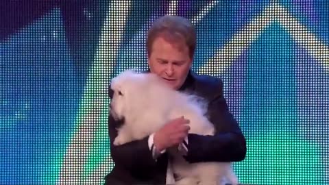 10 FUNNIEST Animal Auditions EVER On Got Talent!