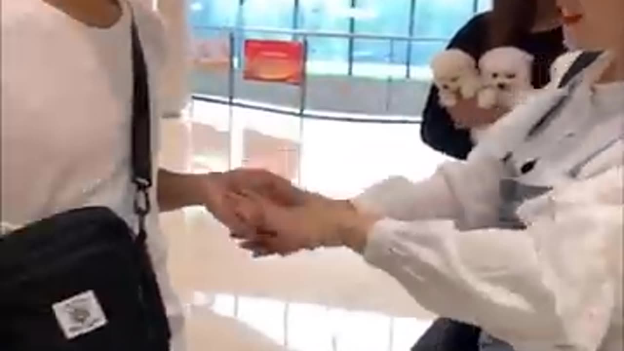 Amazing funny