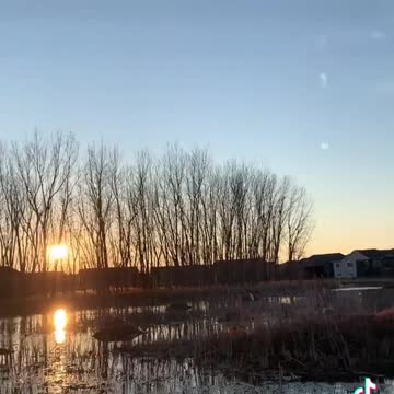 My #walking #view #tamararoseblodgett