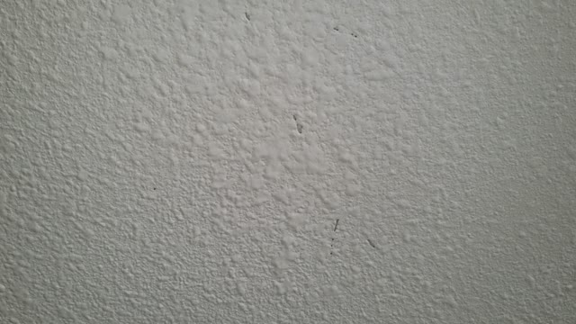 Termite damage at living room ceiling