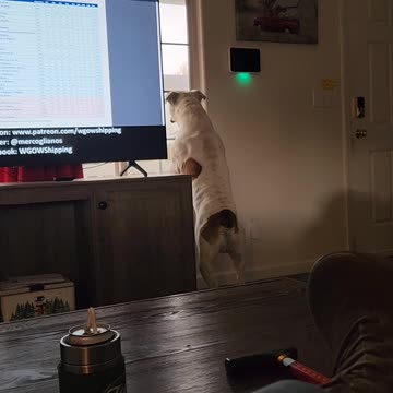 Festus doesn't like the thunder.