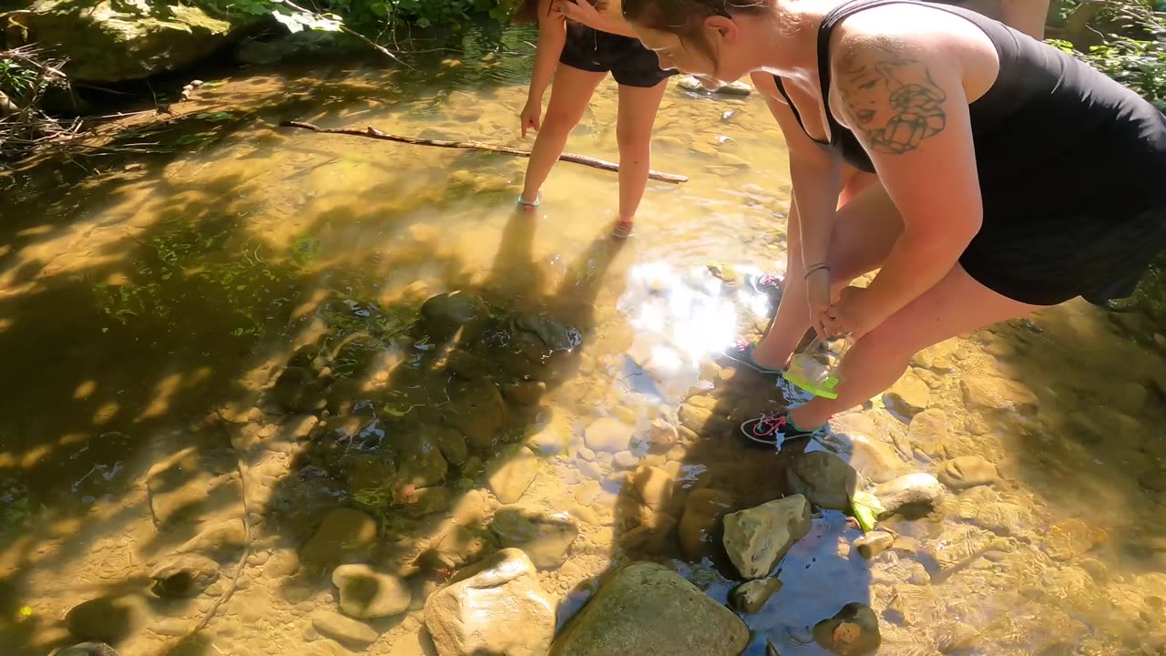 AMAZING!!! Kentucky creek walk...