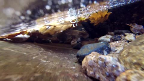 Shaw Prior Plymouth Devon Ocean City the art of Nature part 2.