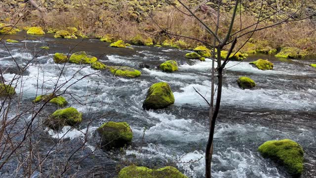 Mossy River Rocks Gives Area Creepy Feel – McKenzie River – Tamolitch Blue Pool – 4K