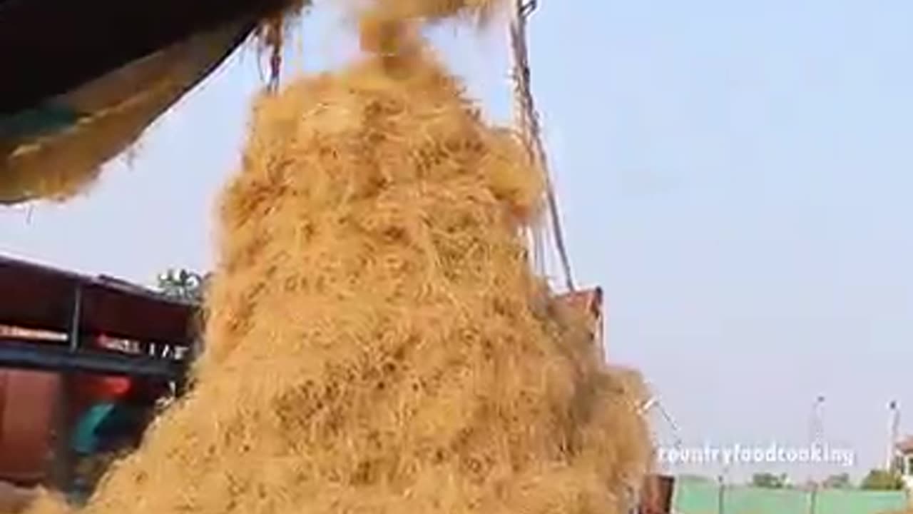Manufacturing product from coconut material.