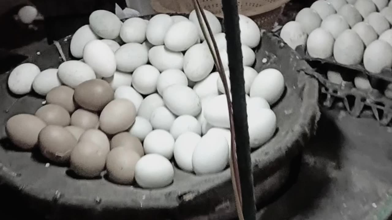 Street food of Bangladesh