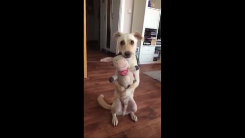 Dog Hugs Stuffed Animal