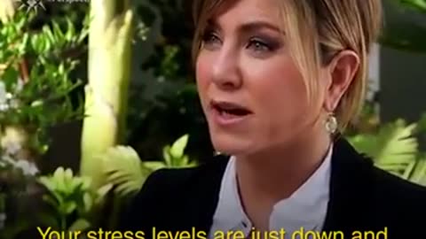 Why do so many successful celebrities meditate daily