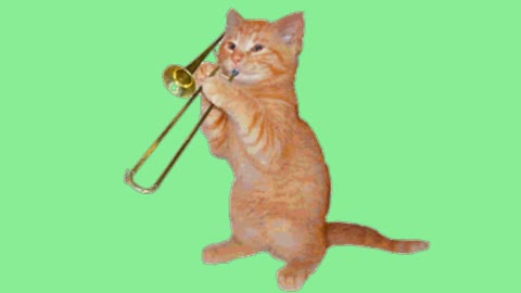 Cat playing trombone