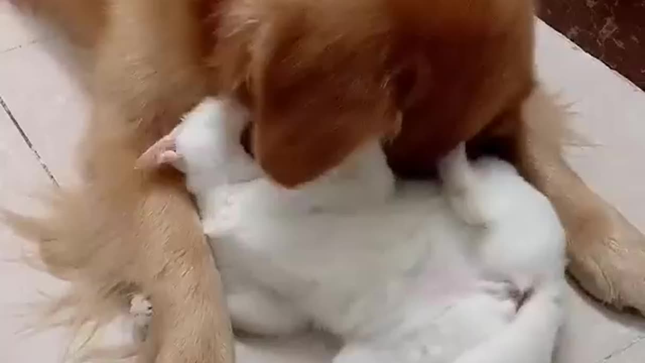 True Friendship