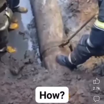 Thief stuck in wastage pipe