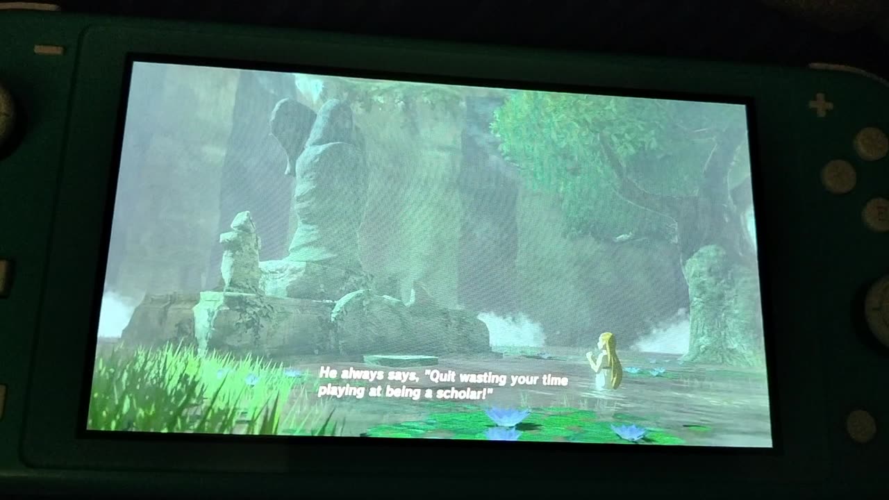 Legend of Zelda:Breath of the Wild:The Spring of Power