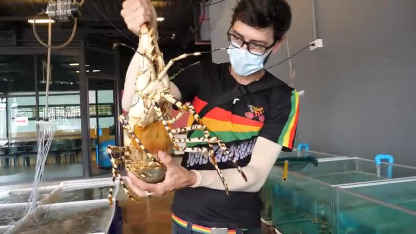 4 ___ How BIG is this Thai SEAFOOD HUGE Crabs, Squid, and Live Lobster on Rawai Beach, Phuket!!