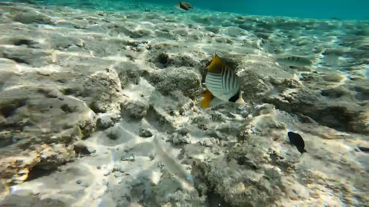 Snorkeling at Riditan Beach in Guam