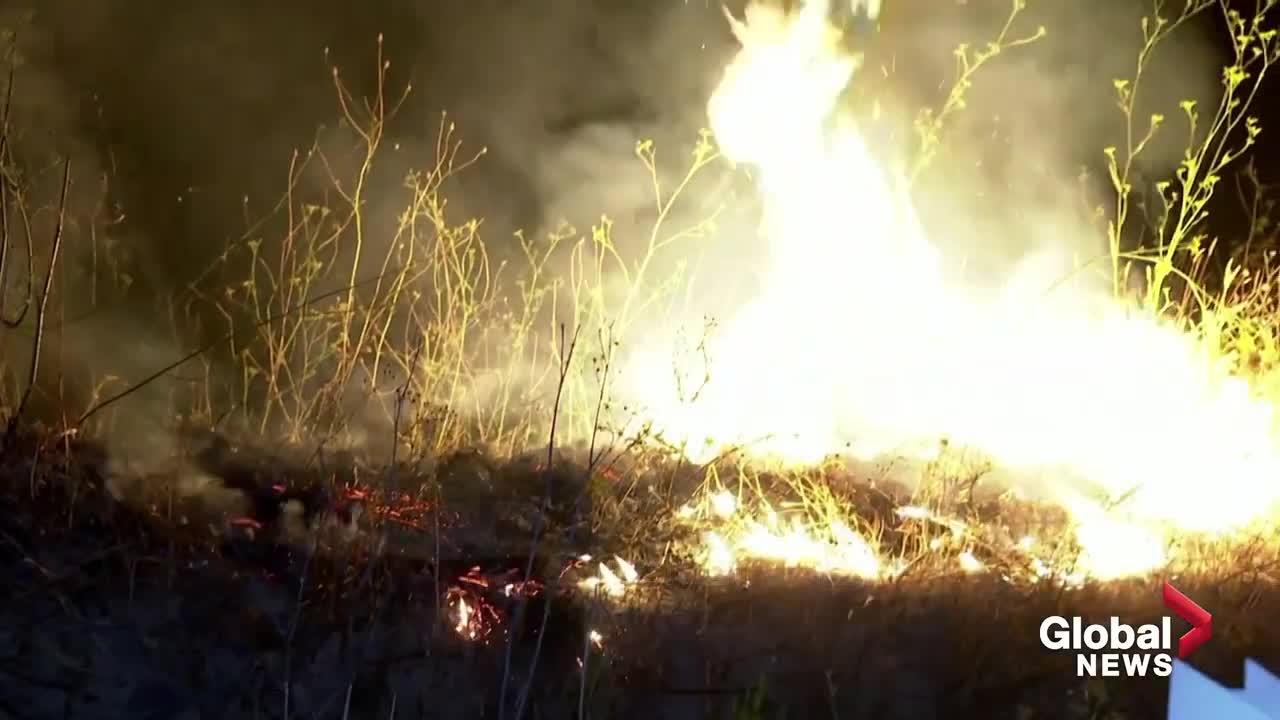 Fierce wildfire in Spain forces 1,500 residents to evacuate homes