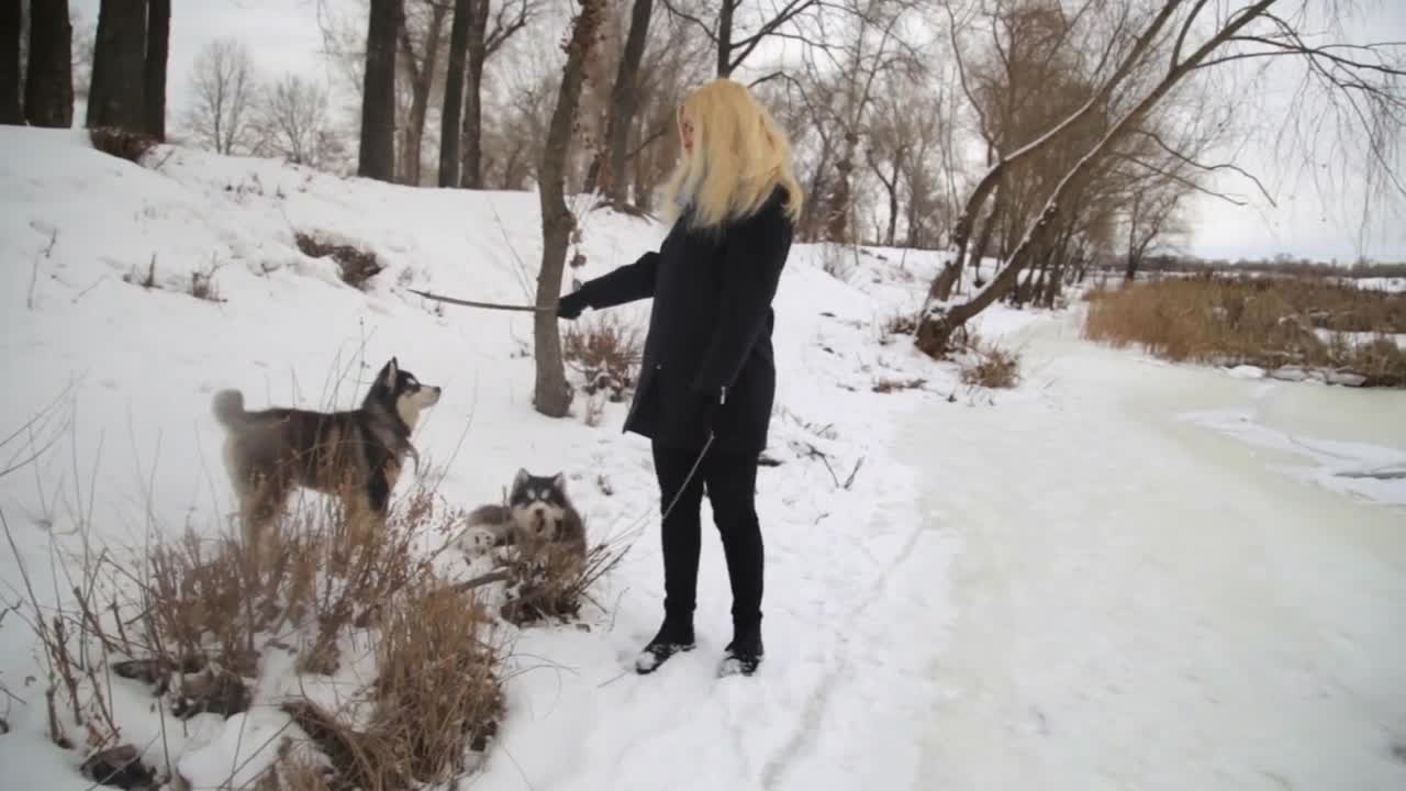 Winter landscape with blonde girl playing with siberian husky malamute dogs outside