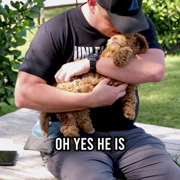 Mr. Winston the Labradoodle and His Belly Rubs