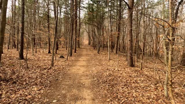 Hiking Liberty Mountain in Lynchburg Virginia Part 2, March 2022