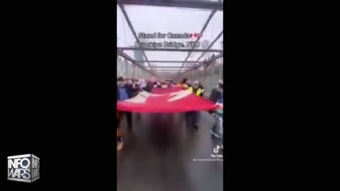 Protesters Take Over Brooklyn Bridge In Solidarity With Freedom Convoy