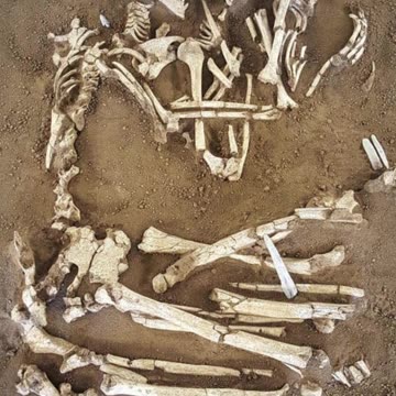 Love's Rollercoaster .❤👍 #love