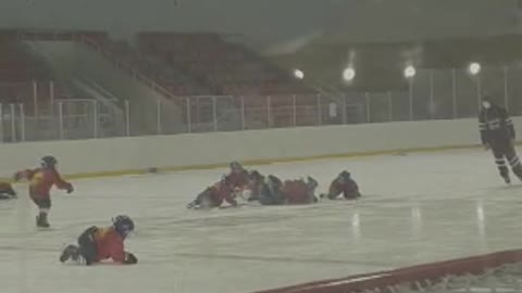 Learning to play Hockey