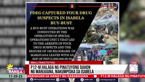 P12-M halaga ng pinatuyong dahon ng marijuana, nakumpiska sa Isabela