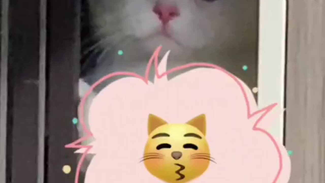 i'm so scared God help me im cute