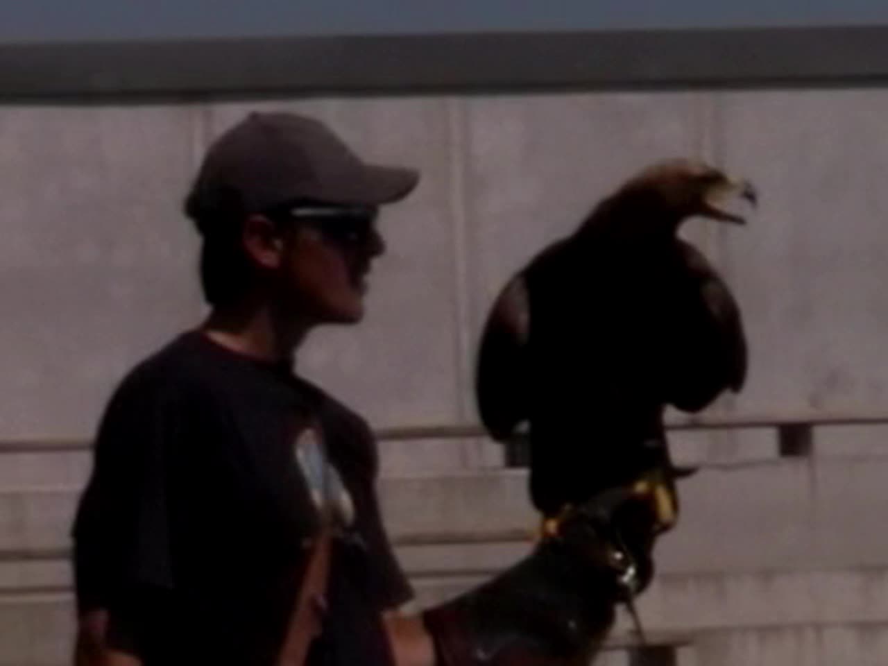 Lanskrone Bird Sanctuary