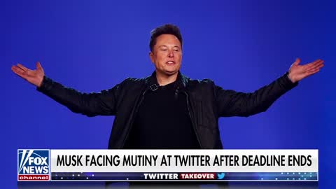 Elon Musk 'not super worried' about concerns of Twitter's collapse