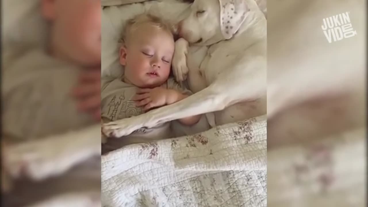 The cute baby and the wonderful dog playing