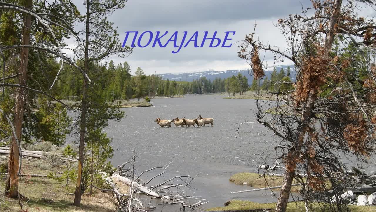 Pokajanje