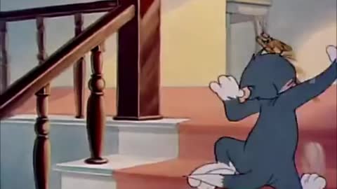 Tom&Jerry view