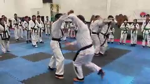 Hapkido