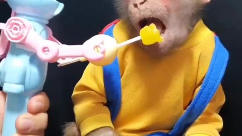 Monkey #funny #viral