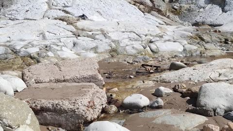 Blessings from our Lord 🙏