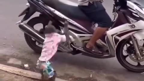 Monkey smart asf!😂