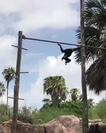 This is how we do it.