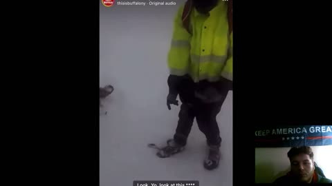 Frozen Bodies Throughout New York