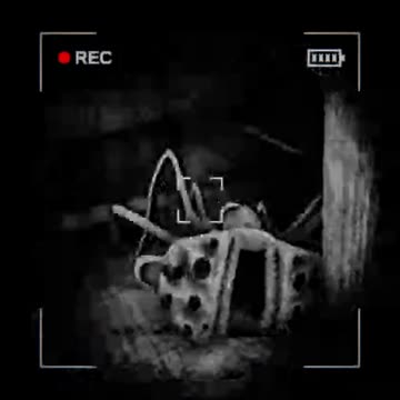 Me and Boz do it for the Sppoktube views!!!!