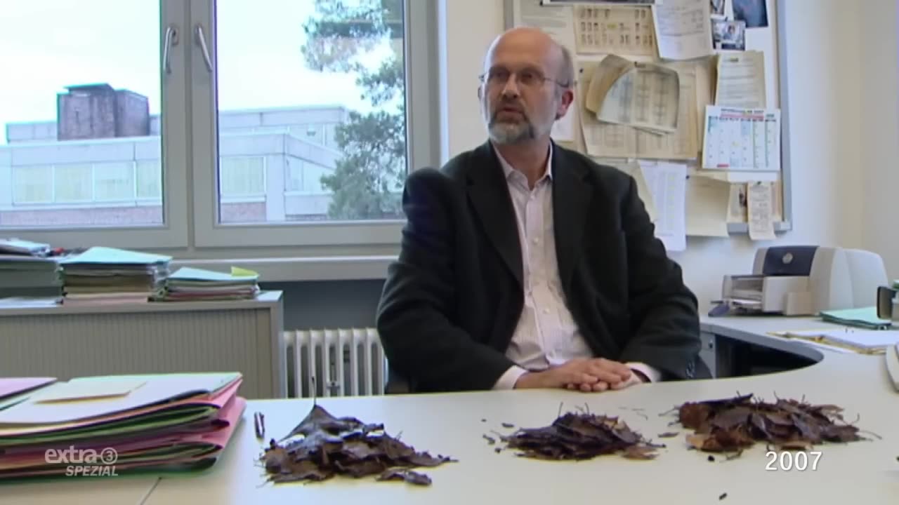 Der Irrsinn in Deutschland in 2 Minuten verdeutlicht