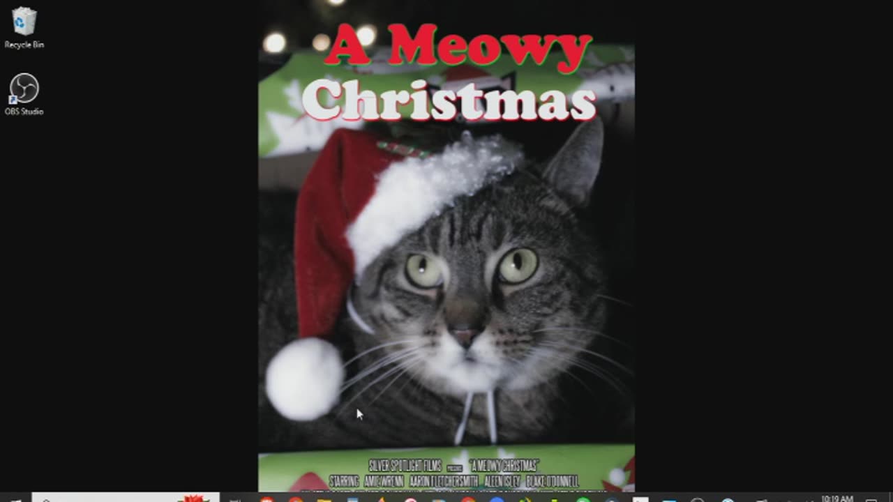 A Meowy Christmas Review