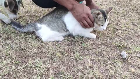 He just loves her Tail