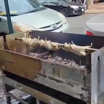 New Yorkers Respond to Mayor's New “Rat Action Plan” With a Plan of Their Own