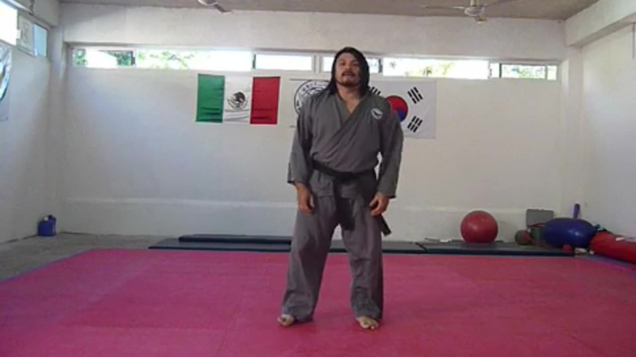 Sin Moo Hapkido