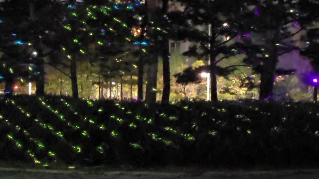 A beautiful park tree