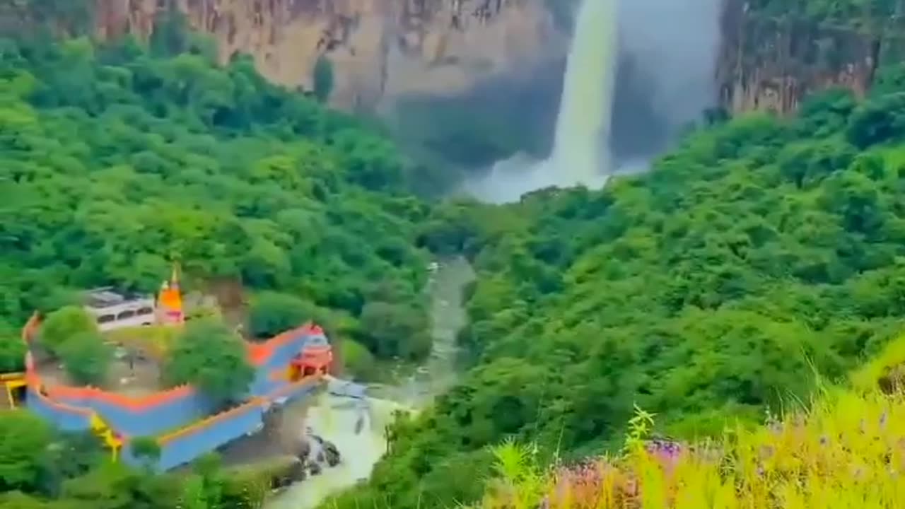 Beautiful Nature Video 🏞️