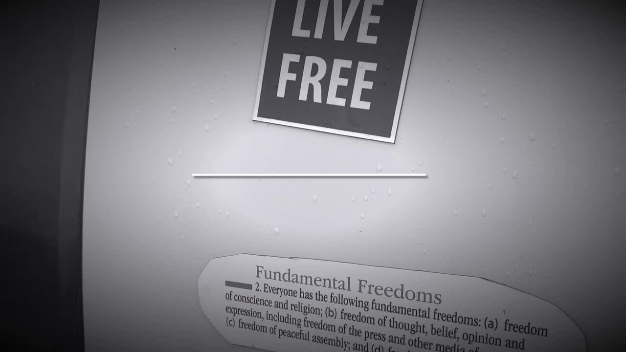 Freedom Chicken preview Episode 2 “not so social”