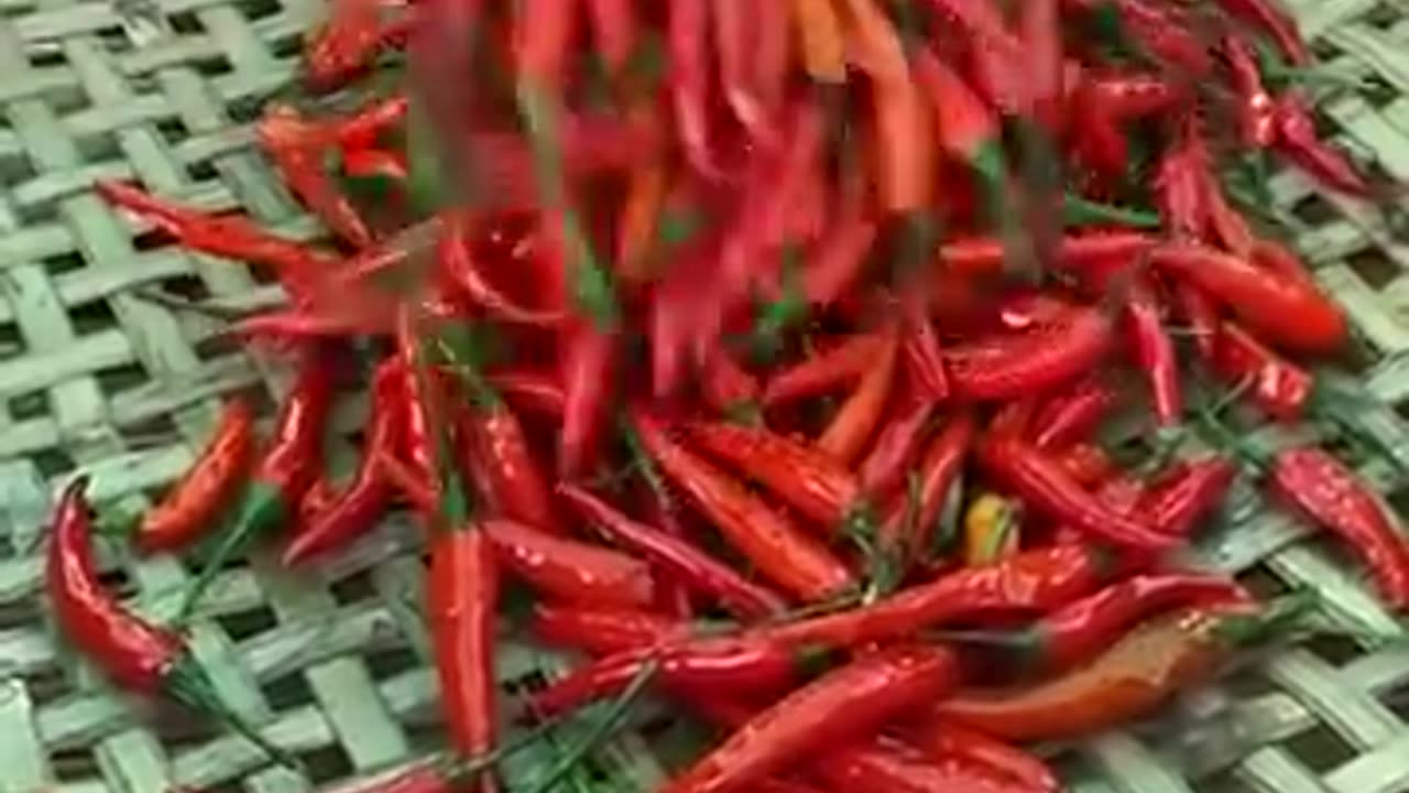 Yummy red chili cooking - Chef Seyhak