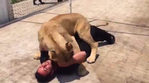 Cubs Reunited With Their Parents After Years!